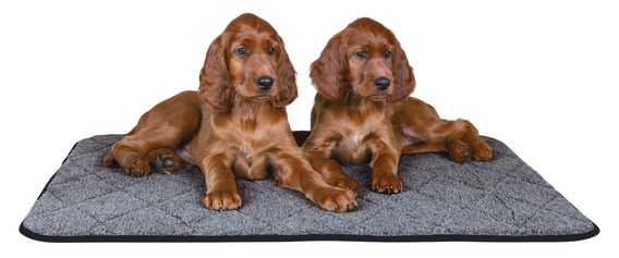 Trixie - Wärmeunterlage