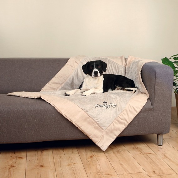 Trixie - Hundedecke Hundekönig