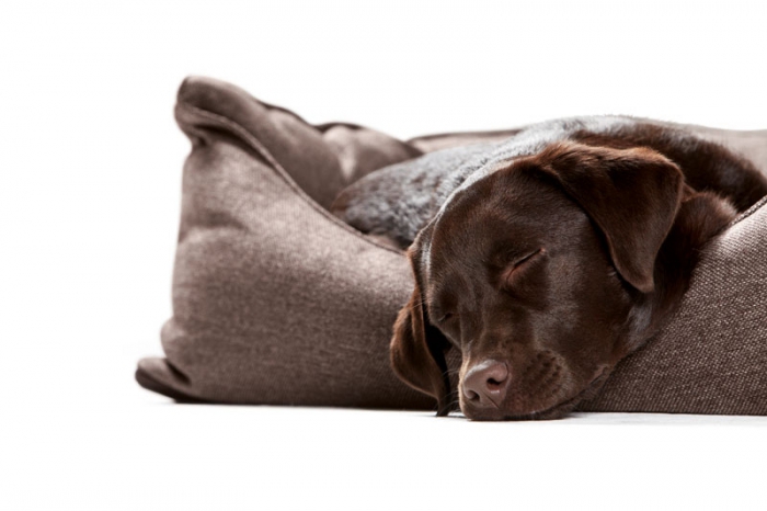 Hunter Hundesofa Living