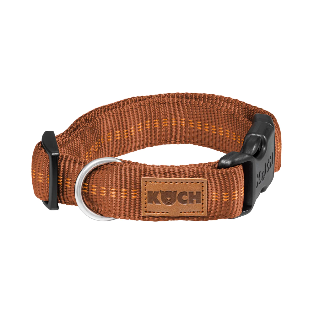 Koch Nylon Hundehalsband mit Schnalle