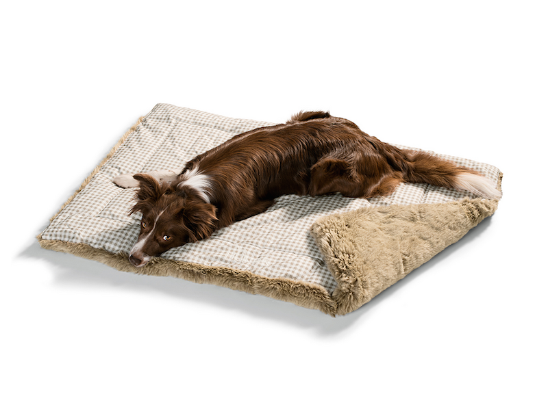 Hunter Hundedecke Astana