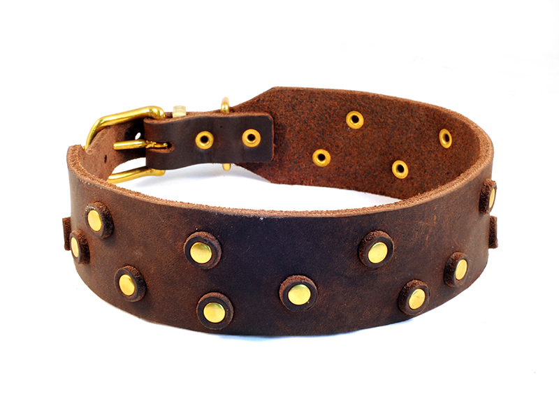 Bellepet Fettleder-Halsband "Pure Dots" - Messing