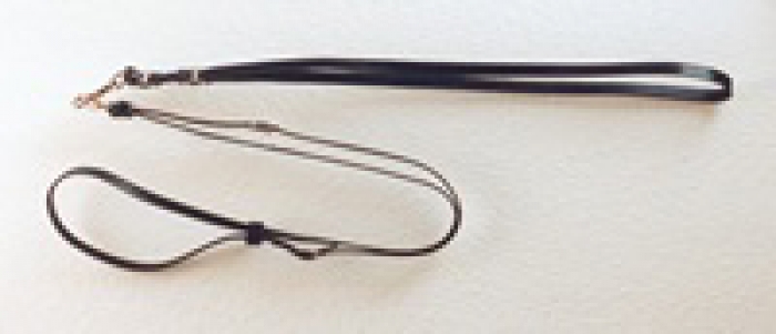 Merothische Reiterleine